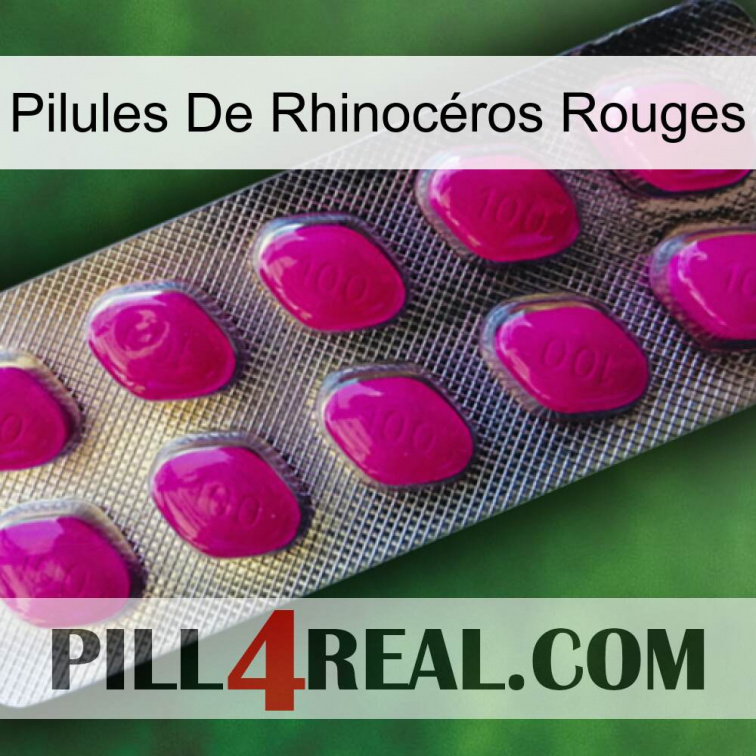 Pilules De Rhinocéros Rouges 09